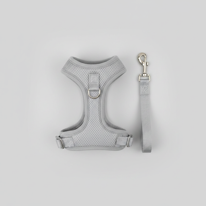 Flat Lay