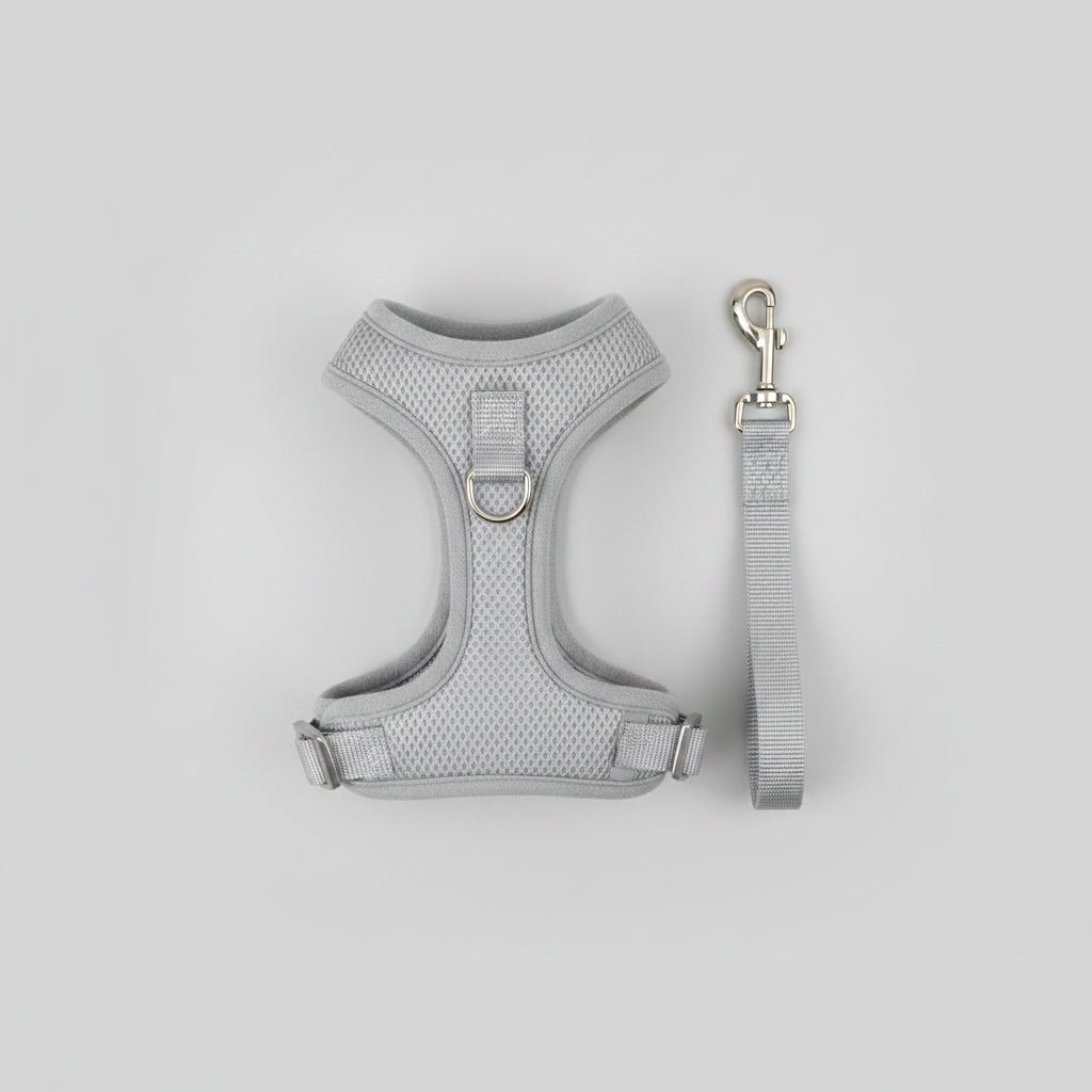 Top-down flat lay of H-style cat harness and leash showing full H-shape structure