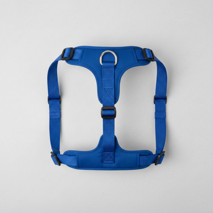 Top-down flat lay of Y-shape dog harness showing full strap configuration and hardware