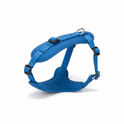 Y-shape dog harness in royal blue nylon with silver D-ring and buckles