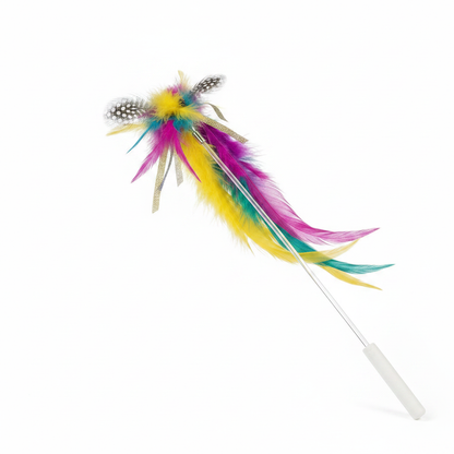 Close-up of single cat feather wand showing handle and feather cluster tip detail
