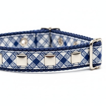 Close-up of plaid tartan dog collar showing square stud detail, D-ring and buckle