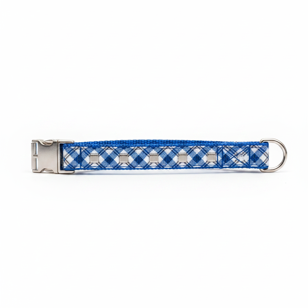 Plaid tartan dog collar in royal blue with silver square studs and D-ring