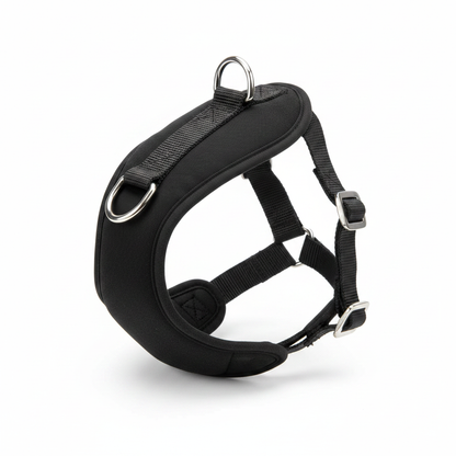 Y-shape dog harness in black nylon with silver D-ring and buckles