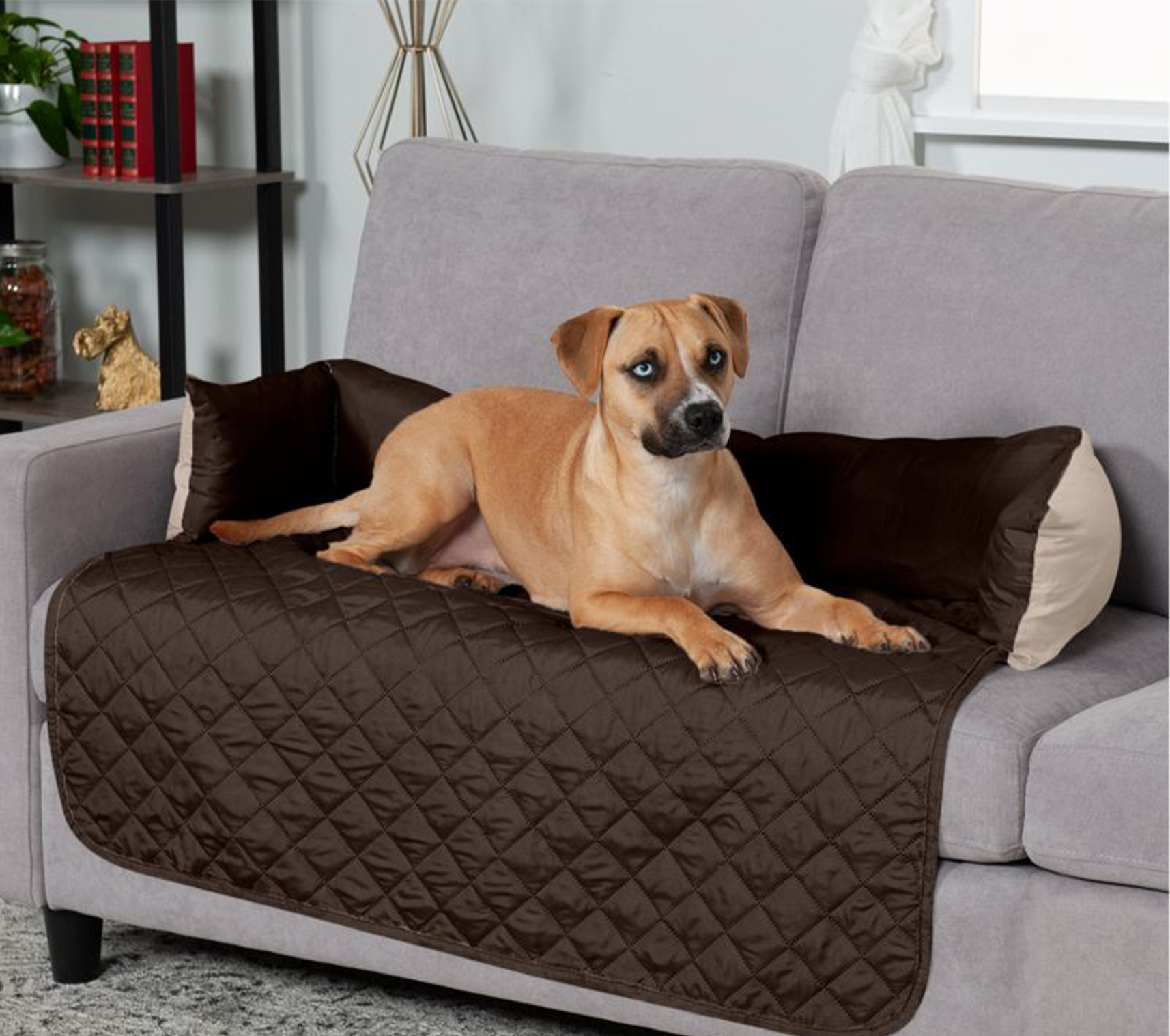 Dog lying on a brown quilted pet cover on a gray couch in a living room.