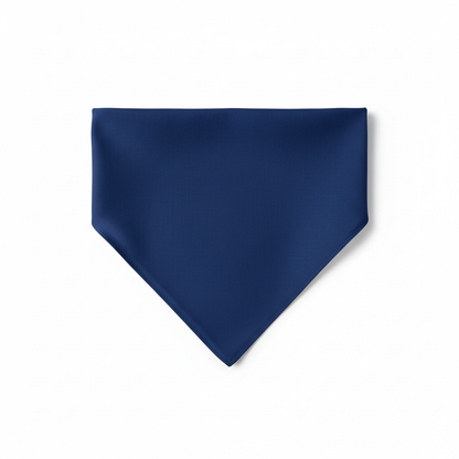 Variant 2 Navy Blue